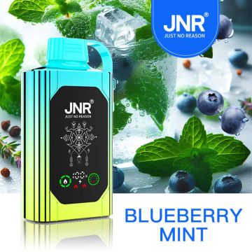 Blueberry Mint | JNR Shisha Hookah Box 30K Disposable Vape