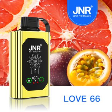 Love 66 | JNR Shisha Hookah Box 30K Disposable Vape