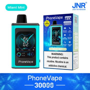 Miami Mint | JNR PhoneVape 30K Disposable Vape